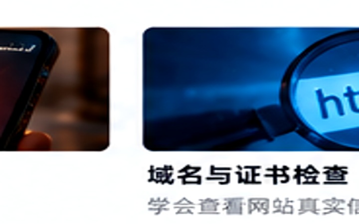 域名与证书检查
